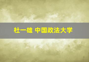 杜一雄 中国政法大学